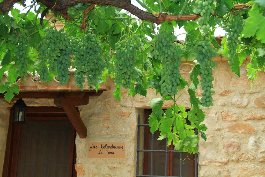 Alojamientos Rurales Cortijo Las Golondrinas Alhama de Murcia Exterior photo